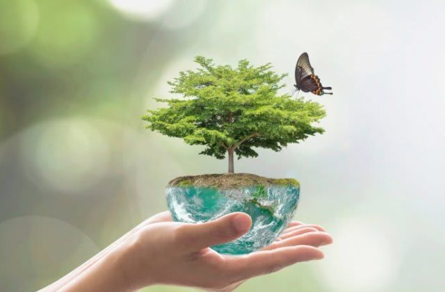 Основы валеологии. Психология здоровья