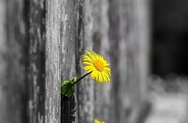 Глубинная диагностика личности