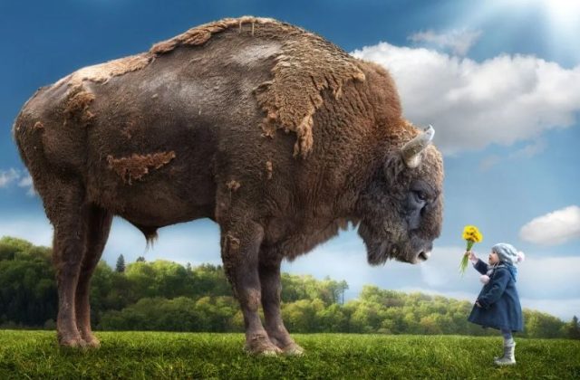 Основы психосоматики