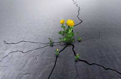 Психолог, в первую очередь, это человек