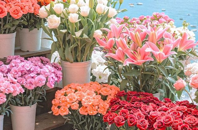 Терапевтически – обучающий практикум. Встреча среди звезд.